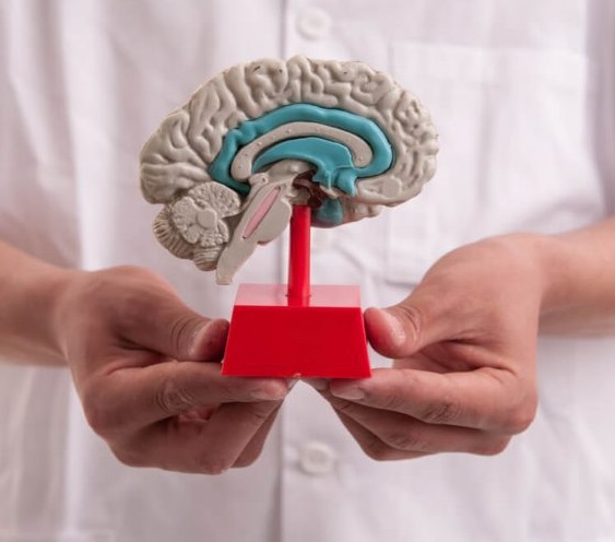 Neuropsychology